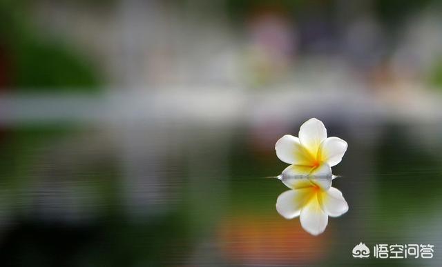 如何以“镜花水月”写七绝藏头诗？
