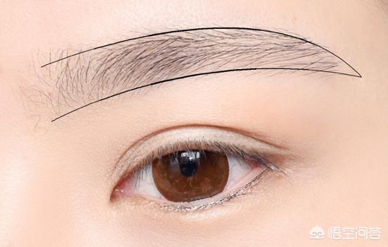 怎样学会眉毛的入门画法呢？插图13