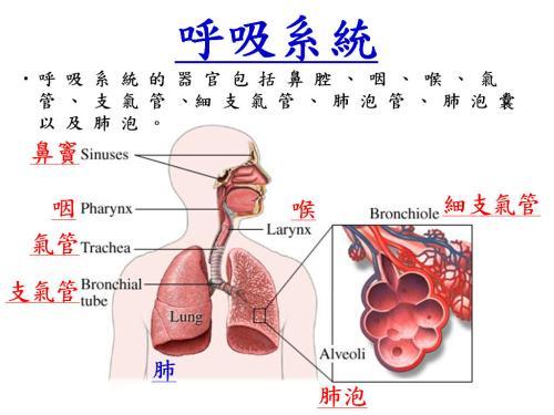 爱因舒坦:盐酸氨溴索(沐舒坦)和氨溴特罗(易坦静)有什么区别吗？