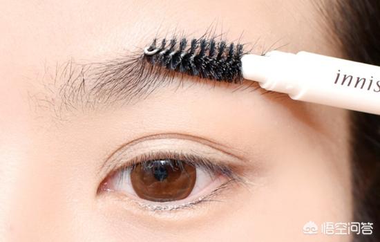 怎样学会眉毛的入门画法呢？插图12