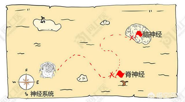 狂犬病能治好吗:医学发达的今天人类对狂犬病还是无法治愈吗？