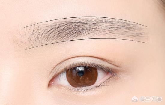 怎样学会眉毛的入门画法呢？插图11