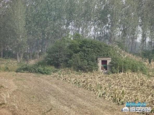 罗成怎么死得(罗成怎么死的历史)