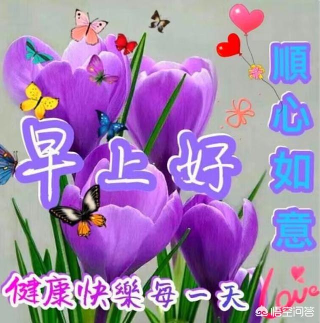 谢金燕姐姐:有哪些使人听了感动得哭了的情歌