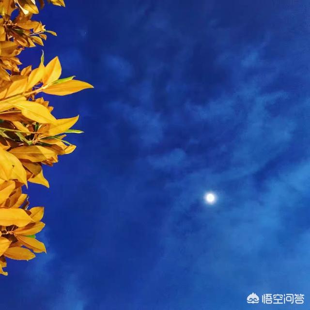 现在把钱全存到余额宝里面还安全吗？