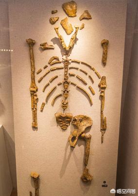 孙悟空墓出土后尸骨照片，考古发掘的墓主人的骨头怎么处理的