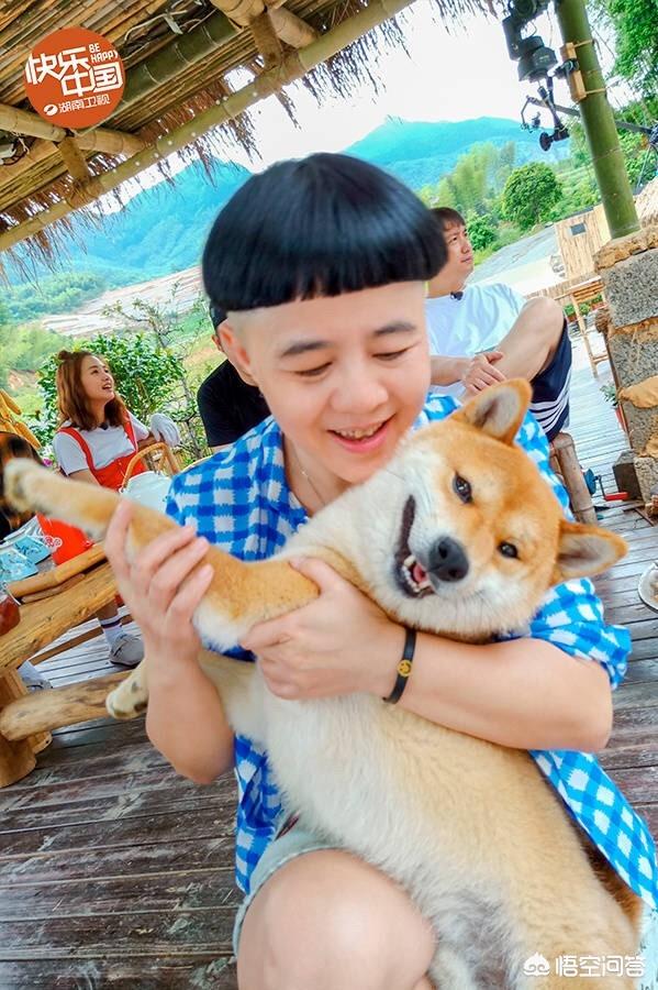 刘纯燕:如何评价央视主持人刘纯燕？