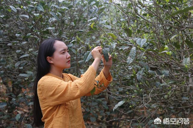 世界红茶品种前十名的,你喝过最好的红茶是哪种？