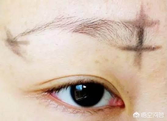 怎样学会眉毛的入门画法呢？插图49