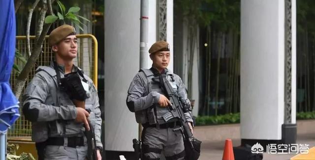 辜加警察在新加坡是怎樣一種存在？