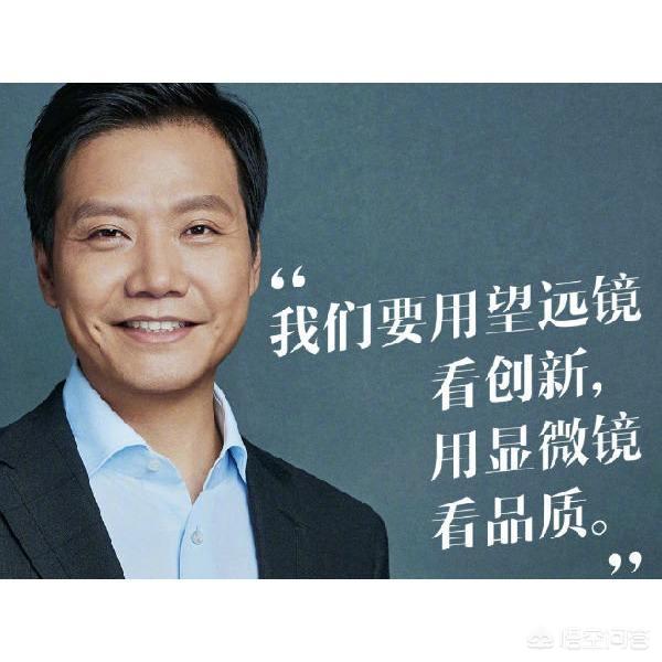 雷军,小米公司成功做强做大的几大因素是什么？