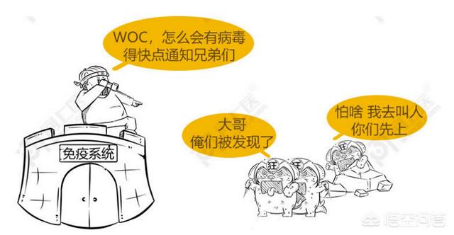 狂犬病能治好吗:医学发达的今天人类对狂犬病还是无法治愈吗？