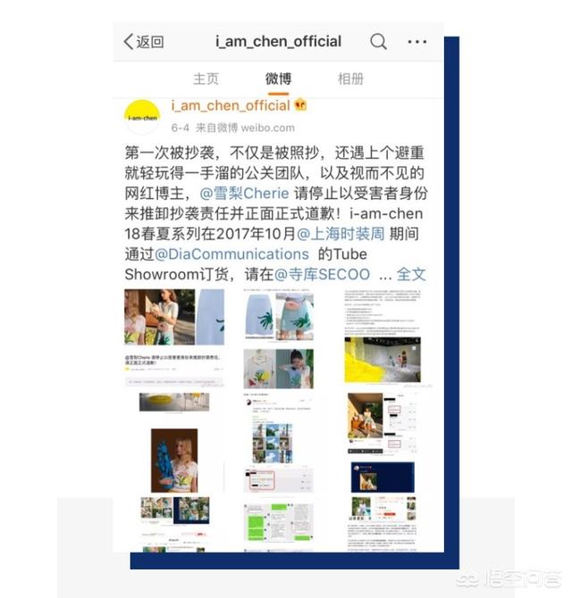 雪梨网红:网红雪梨入选湖畔大学第六届，晒与马云合影，你如何评价？