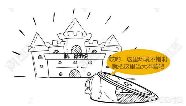 狂犬病能治好吗:医学发达的今天人类对狂犬病还是无法治愈吗？