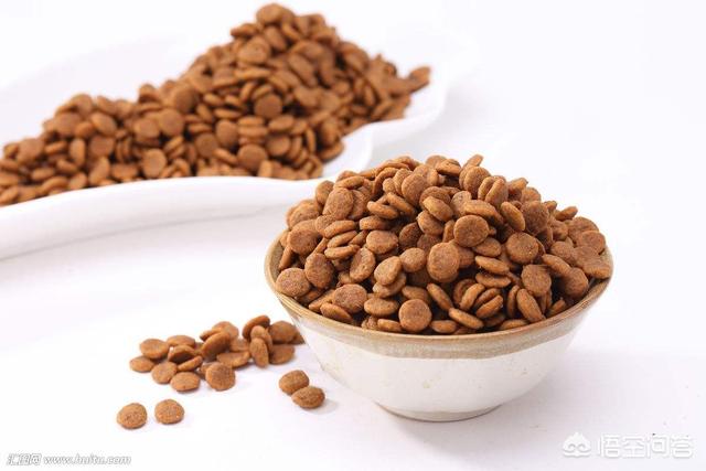 雅思狗粮:猫粮和狗粮有什么区别？可以换着吃吗？