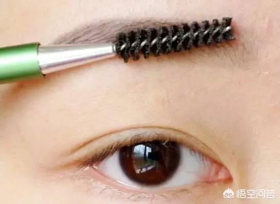 怎样学会眉毛的入门画法呢？插图50