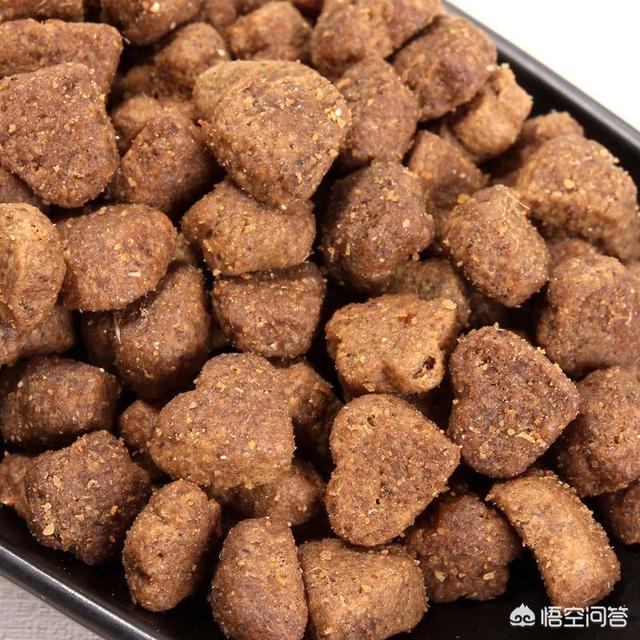雅思狗粮:猫粮和狗粮有什么区别？可以换着吃吗？