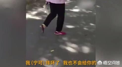 柯基摔狗事件女主人:宁波摔手机事件的后续怎么样了？