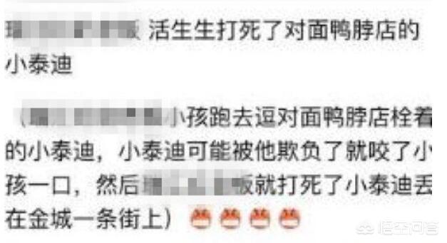 小学生霸气虐狗视频:如何评价南京摔狗事件？如果遇到网络暴力，你该怎么办？