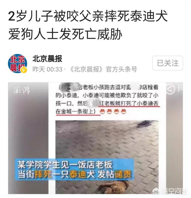 长沙金毛后续:儿子被咬伤，父亲摔死泰迪，究竟该如何处理这件事？ 长沙金毛吧