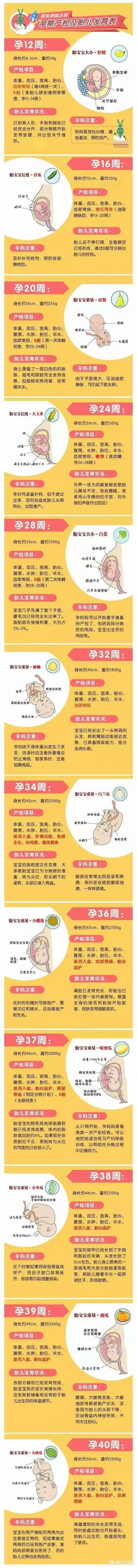 整个孕期产检时间表是怎么样的？