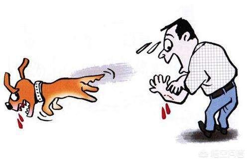 狗咬耗子的卡通图片:狗咬耗子，猫高兴还是生气？