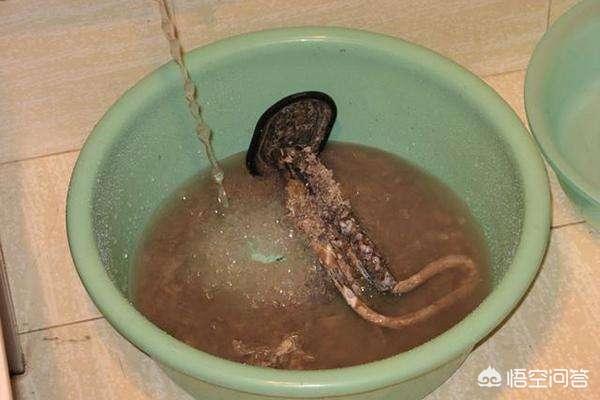 电热水器清洗方法图解,洗澡用的热水器怎么清洗电的？