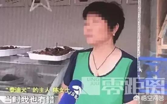 临沂藏獒:如何看待幼童被狗咬父亲摔死狗后遭威胁，母亲被逼割腕自杀？