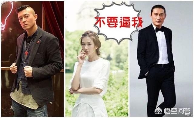 陈冠希大骂林志玲:如何看待林志玲被陈冠希骂后被某些人称做“台独”
