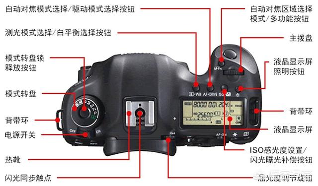 蜂鸟鹰蛾 佳能5d3:用佳能5d3怎么拍多重曝光？