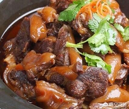 林丹母亲:如何看待林丹呼吁不吃狗肉的这种做法