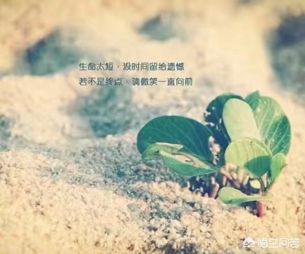 有哪些经典<a href=https://maguai.com/list/46-0-0.html target=_blank class=infotextkey>语录</a>一直激励着你