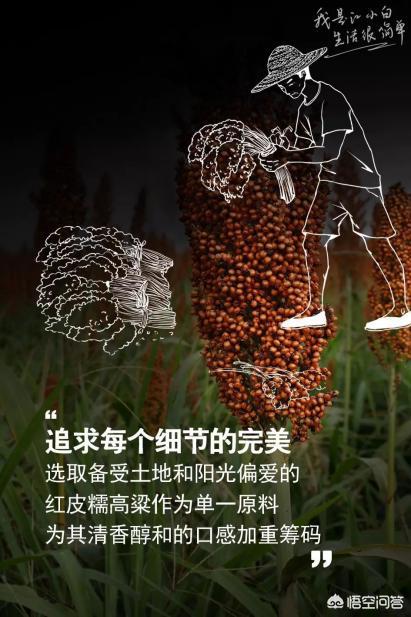 <a href=https://maguai.com/marketing/ target=_blank class=infotextkey>微信营销</a>成功案例江小白:江小白如何从酒业红海中杀出重围？