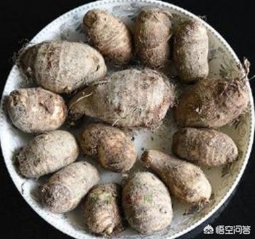 沙蟹汁:外地人该带哪些南宁特产回家？