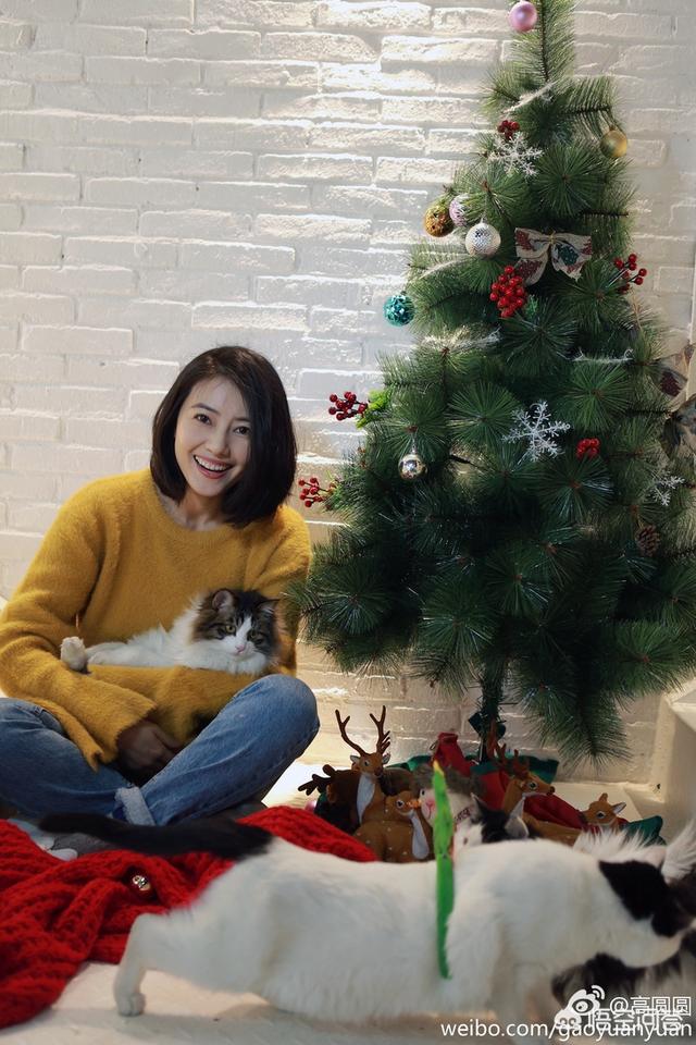 美女遛狗街拍:高圆圆为什么被称为街拍时尚达人？