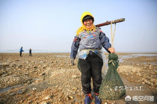 海葵图片:海蛏子图片 第3号台风森拉克会登陆海南吗？