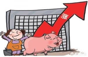 猪农：猪肉终于涨价了吗？