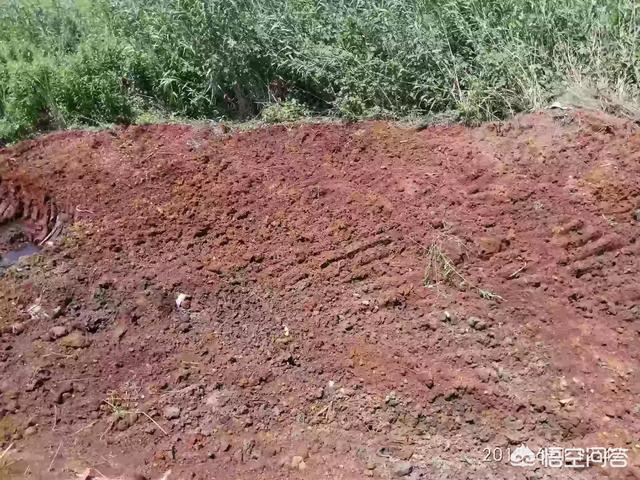 启东王子:南通苏通园区的房该不该买