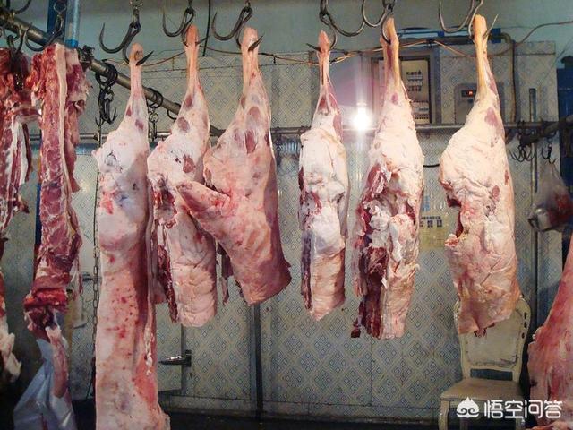 新疆羊肉为啥基本没膻味，甘肃、新疆和宁夏哪个地方的羊肉最好吃