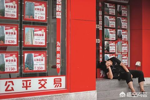 天生无脖牧羊犬遭弃走红网络:想做点小生意，但是不知道如何下手，应该怎么办？