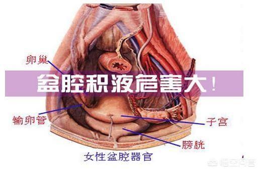 初怀孕多久能做b超:孕早期10天做一次b超有影响吗?b超对胎儿有没有影响？