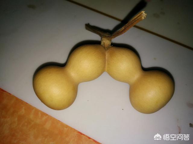 连体双胞胎:连体双胞胎葫芦是怎么长出来的