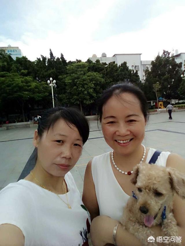 一只名叫痛苦的狗:宠物狗哭是什么原因造成的？