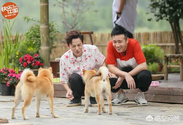 吕聿来:最近怎么这么多人捧演员于和伟？