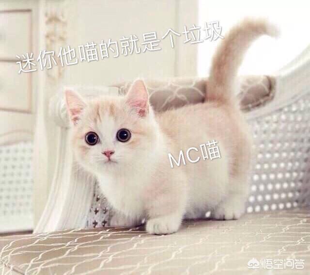 《我的世界》1.13的三叉戟怎么合成？
