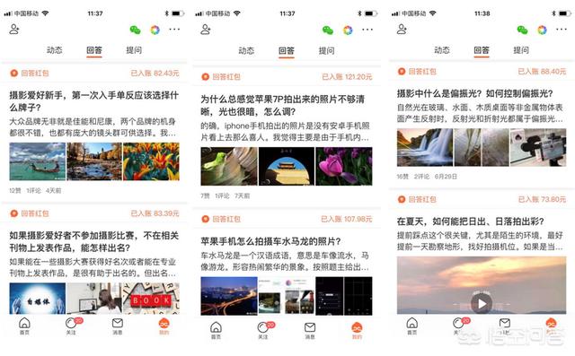 宠物美发沙龙app下载:宠物的情感回报真的远大于你的付出吗？