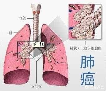 学知猫官网:你手机安装的哪款学习app是你经常用不会卸载的？ 学知在线教育官网
