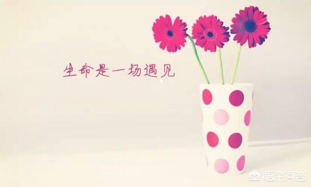 石姑坟墓灵异事件:你听说过什么村里的奇异故事？