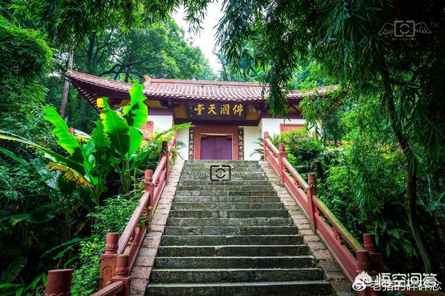 乐山大佛资料:去成都旅游只能在乐山大佛与都江堰选一个，选哪一个好