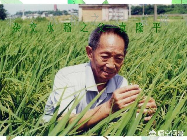 袁隆平的简介:袁隆平院士究竟是哪里人？户籍、贯籍和祖籍有哪些差异？